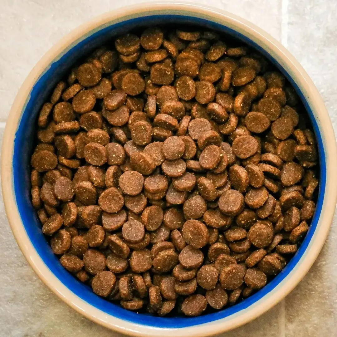 Bowl of dog food with kibble inside.