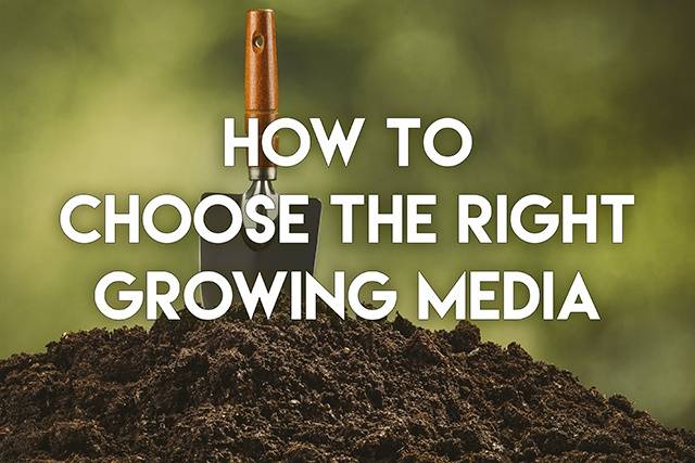How To Choose the Right Growing Media for Your EarthBox