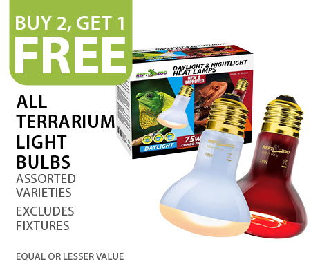 Buy 2, get 1 free all terrarium light bulbs. Excludes fixtures. Equal or lesser value