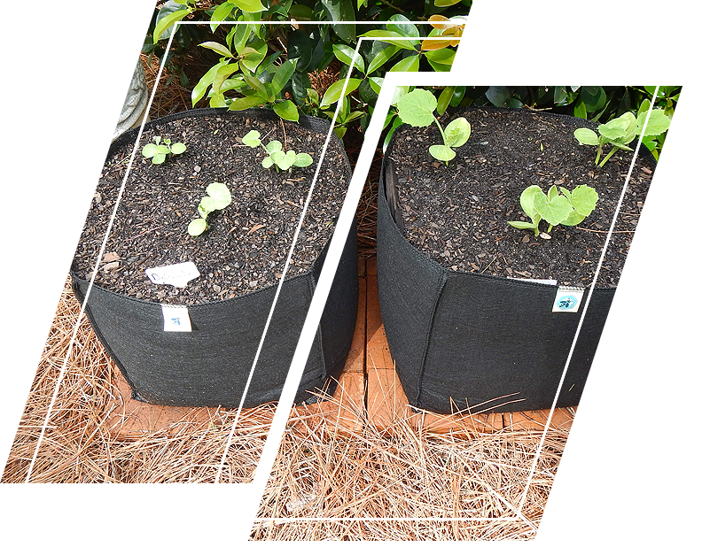 Waterproof Flowerpot Transplanting Pot Supplies Plant Green For Cloth Work 