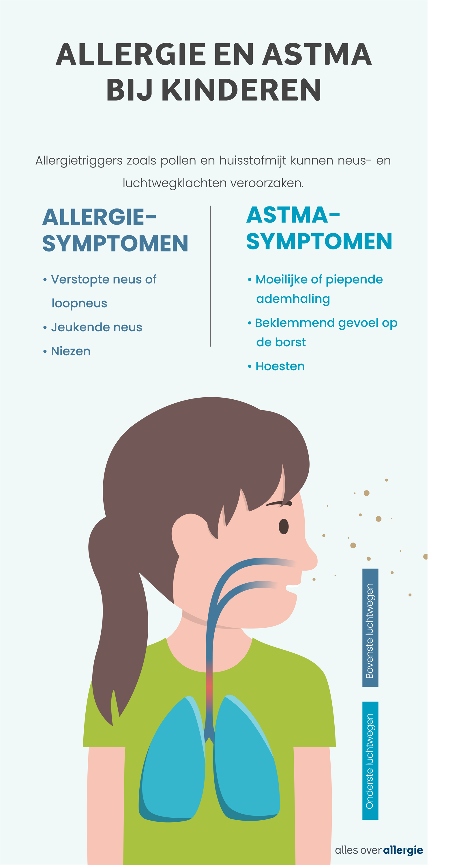 Infographic die de mogelijke connectie tussen luchtwegallergieën en astma weergeeft. 