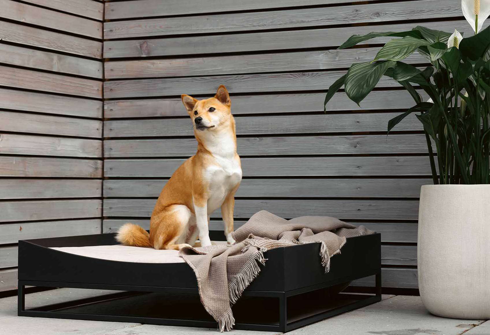 Black metal and wood dog bed | metal booth