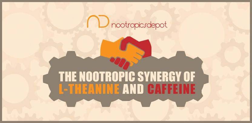 The Nootropic Synergy of Caffeine and L-Theanine