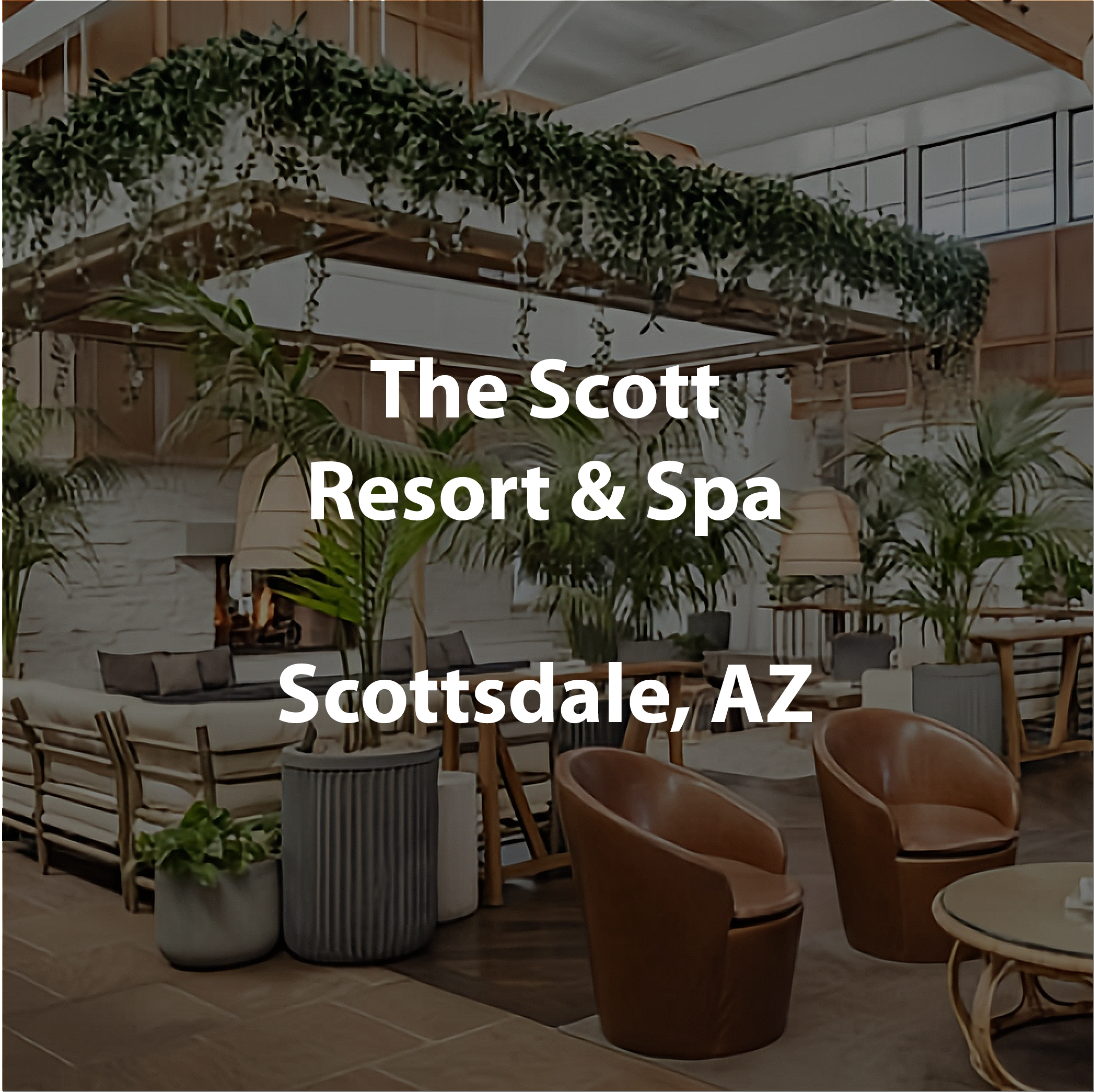 Modern lobby with greenery, comfortable seating, and natural light.
