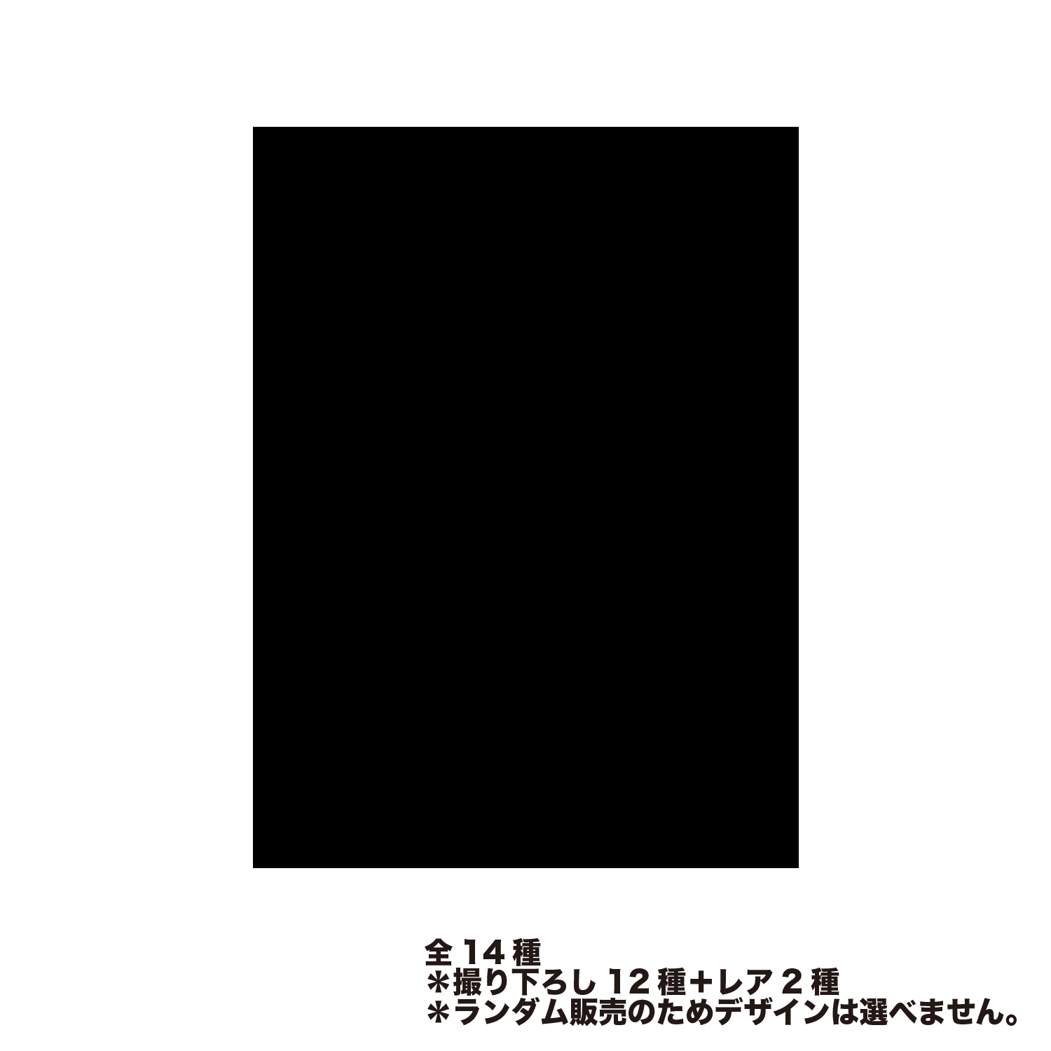 撮り下ろしランダムインスタントフォト風カード（全14種）
