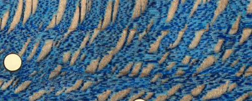 Abstract blue and beige textured pattern with circular elements.