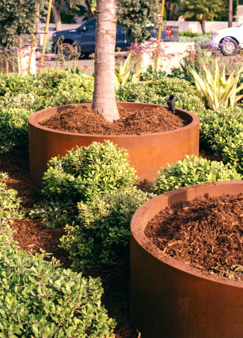 Planters with trees and greenery in a landscaped area.