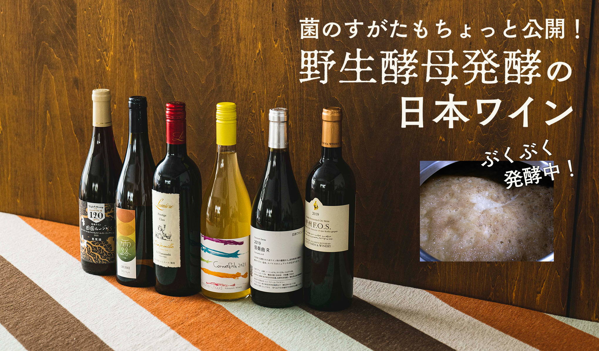 菌のすがたもちょっと公開！野生酵母発酵の日本ワイン