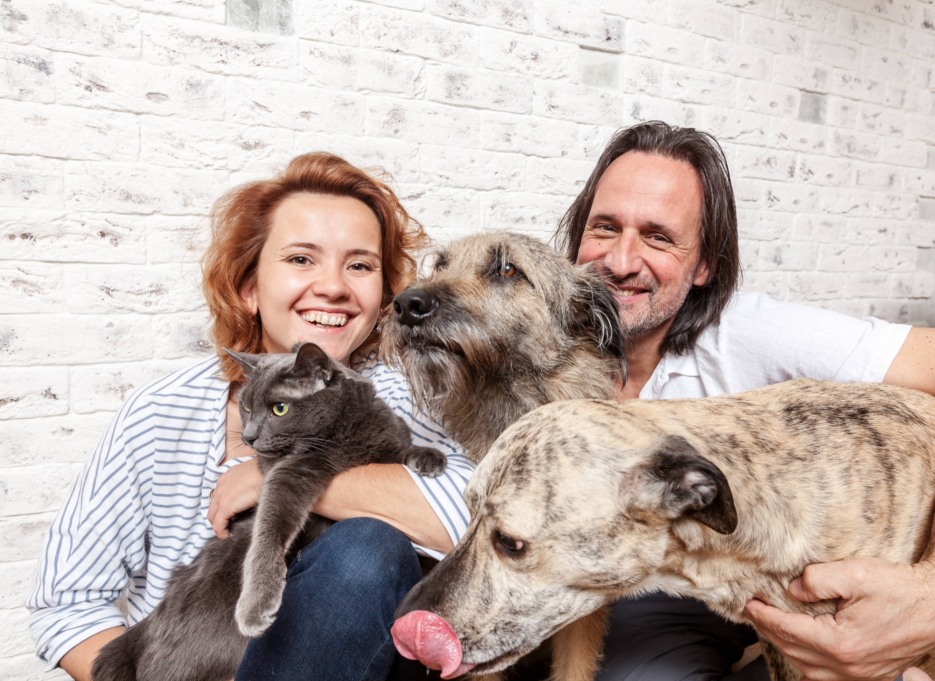 Alice's Dog & Cat