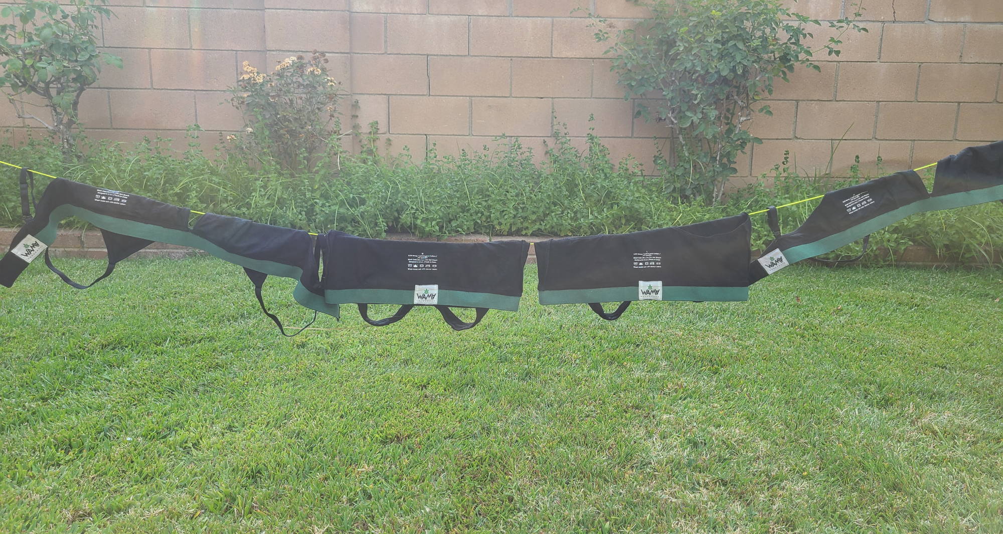  a laundry line with black bralettes hung to dry in a walled in backyard with green grass and plants