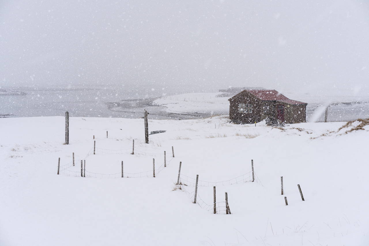 Iceland Snow