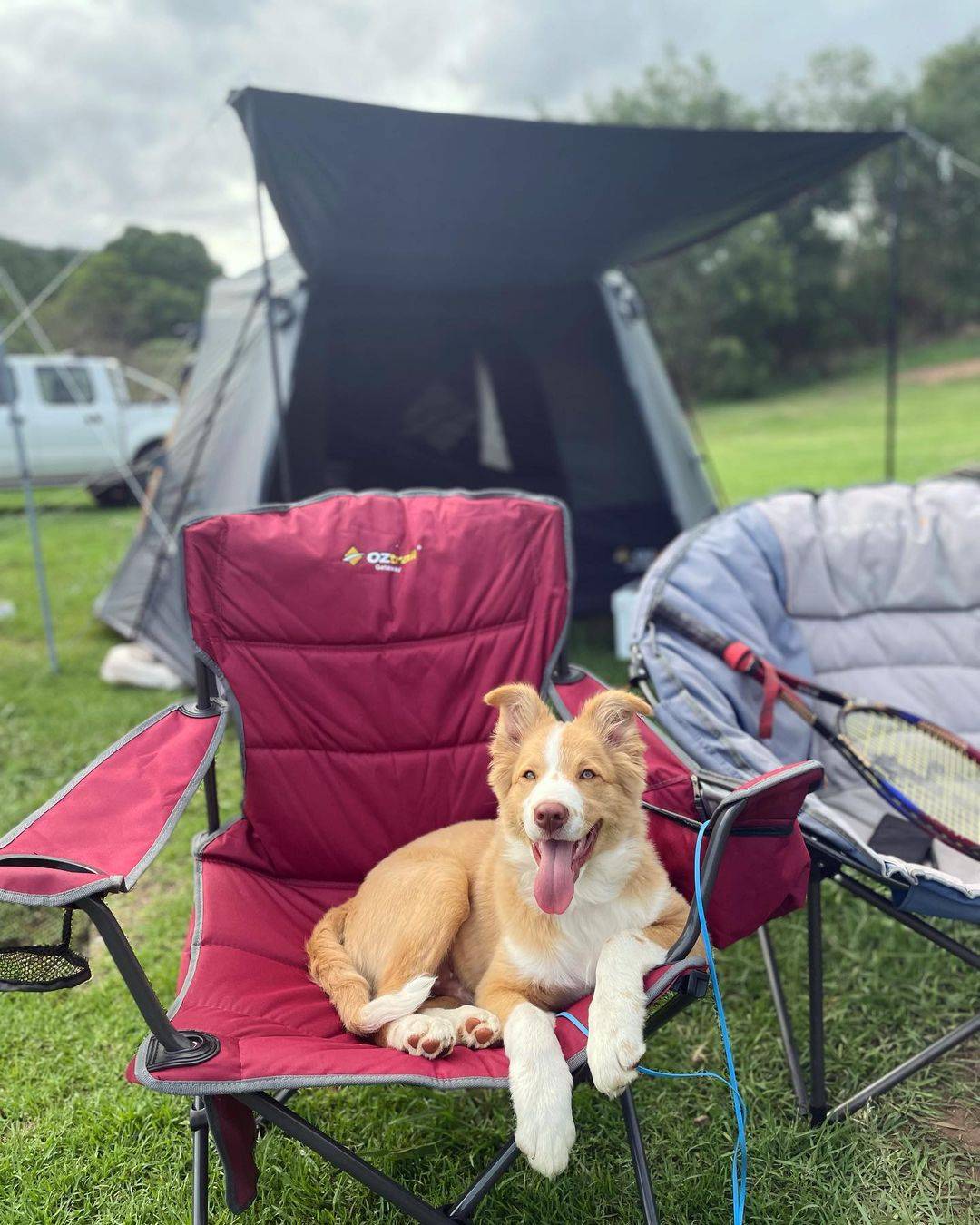 Kenilworth camping, Dog Friendly Camping QLD