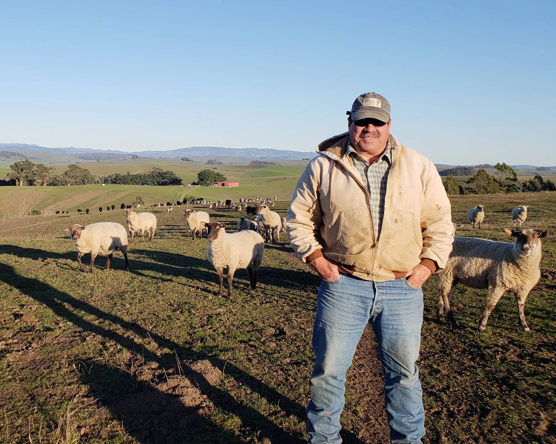 Joe Pozzi on Pozzi Ranch for Sonoma Wool Company