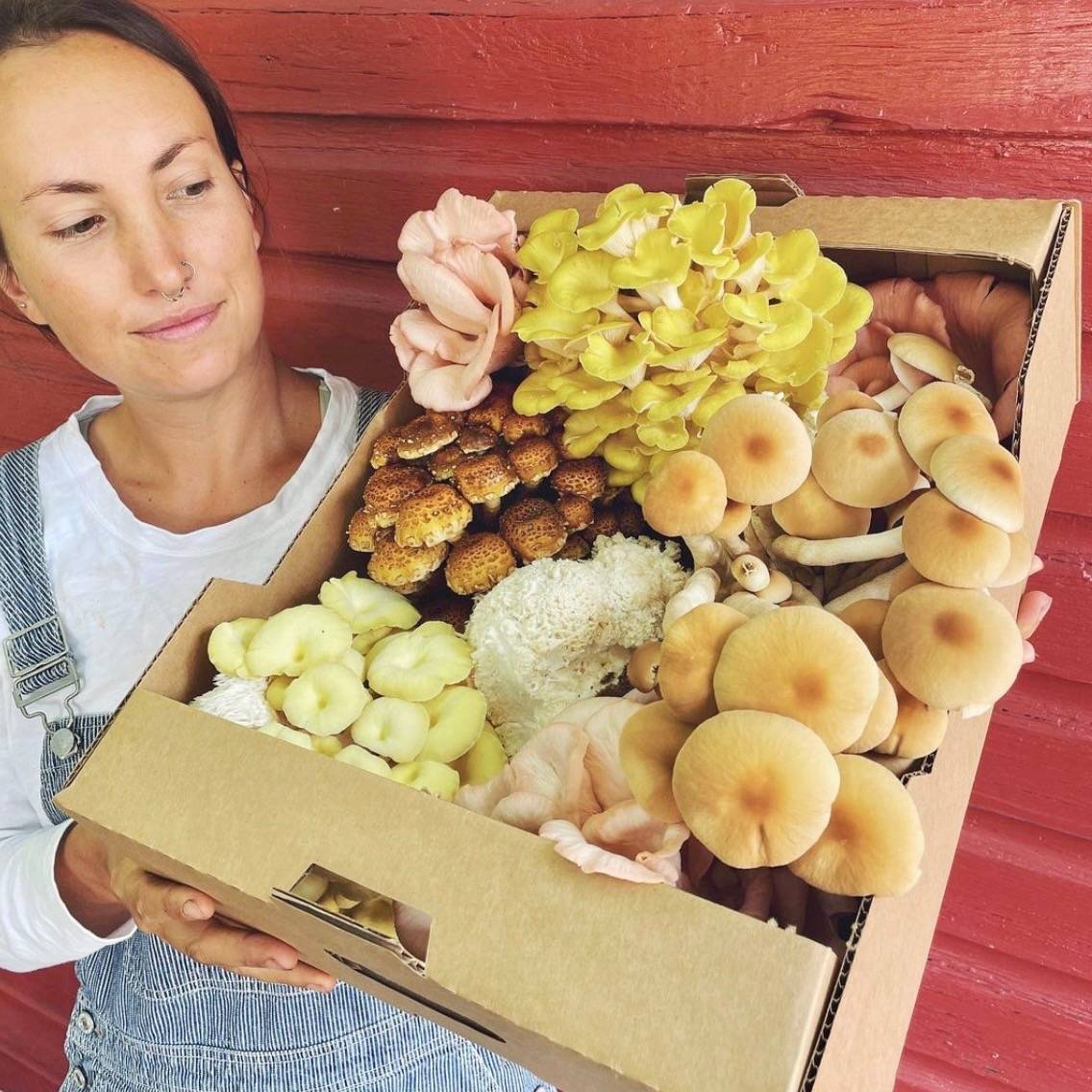 box of mushrooms