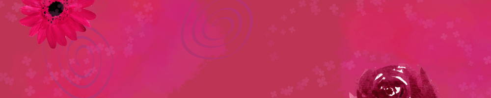 banner image of magenta pink background