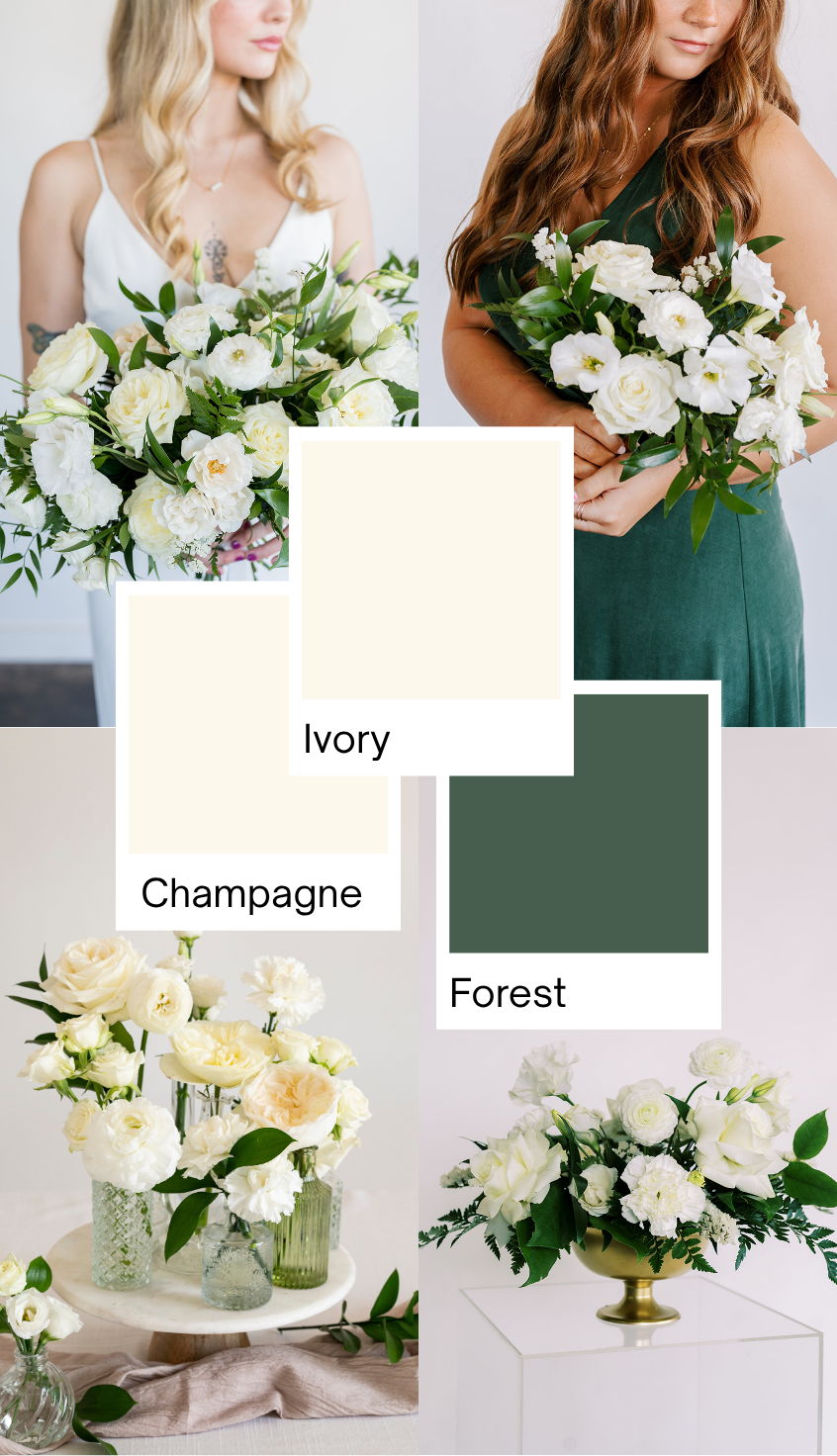 Natural Green and Cream