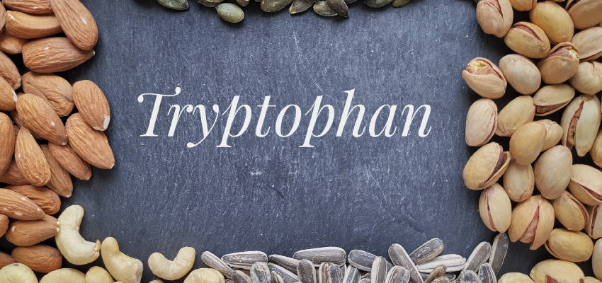 tryptophan for dogs