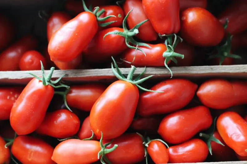 Marinelli combines over 20 varieties of Italian pear tomatoes