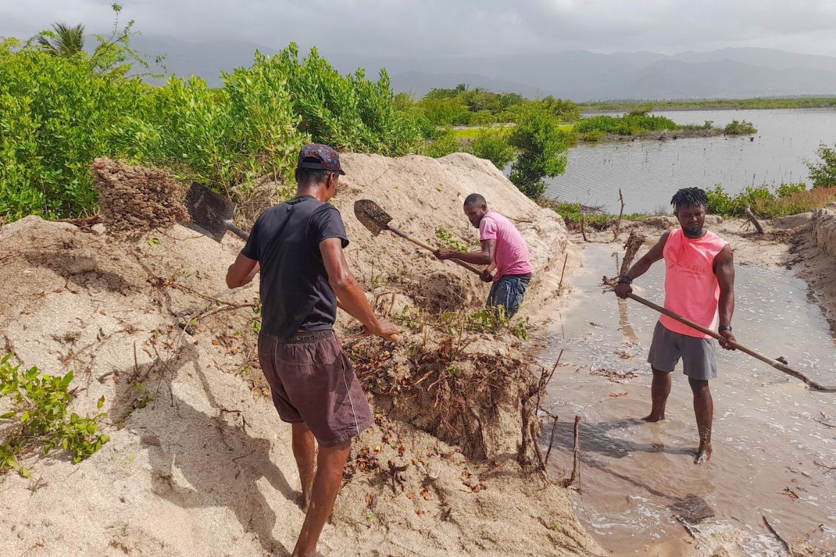 Men working on a sandbank near a body of water.