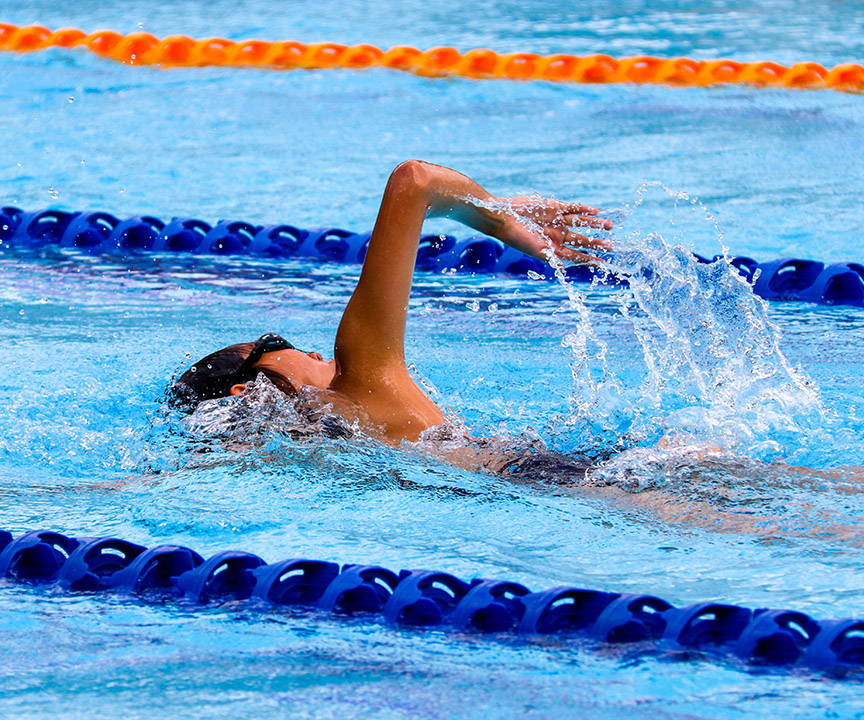 Closeup image of a person swimming laps between lane lines in a public pool.