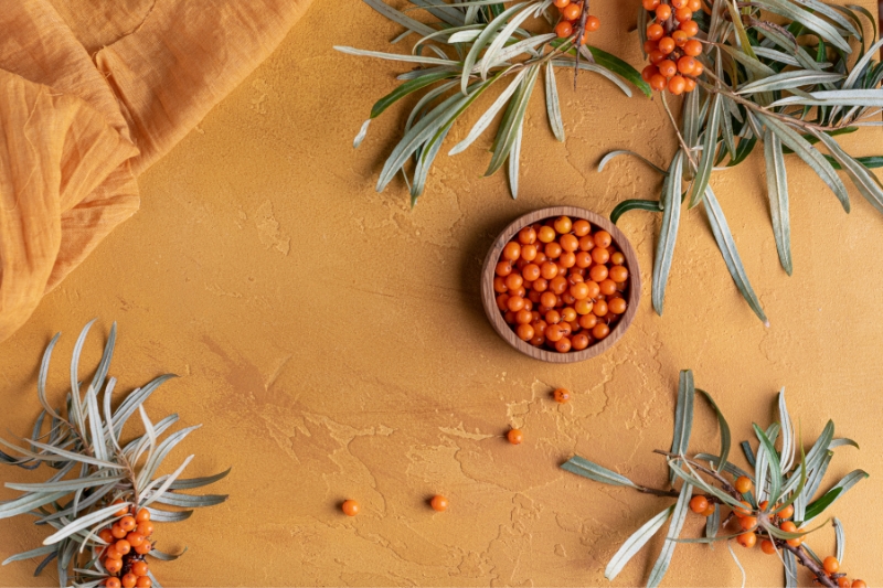 Bowl of sea buckthorn berries surrounded by leaves on a textured surface.