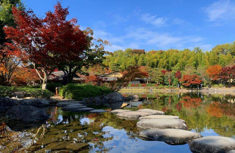 【東京】国営昭和記念公園：計約500本の紅葉に囲まれた公園！