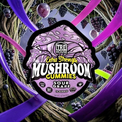 Label for Extra Shroomy Mushroom Gummies in grape flavor.