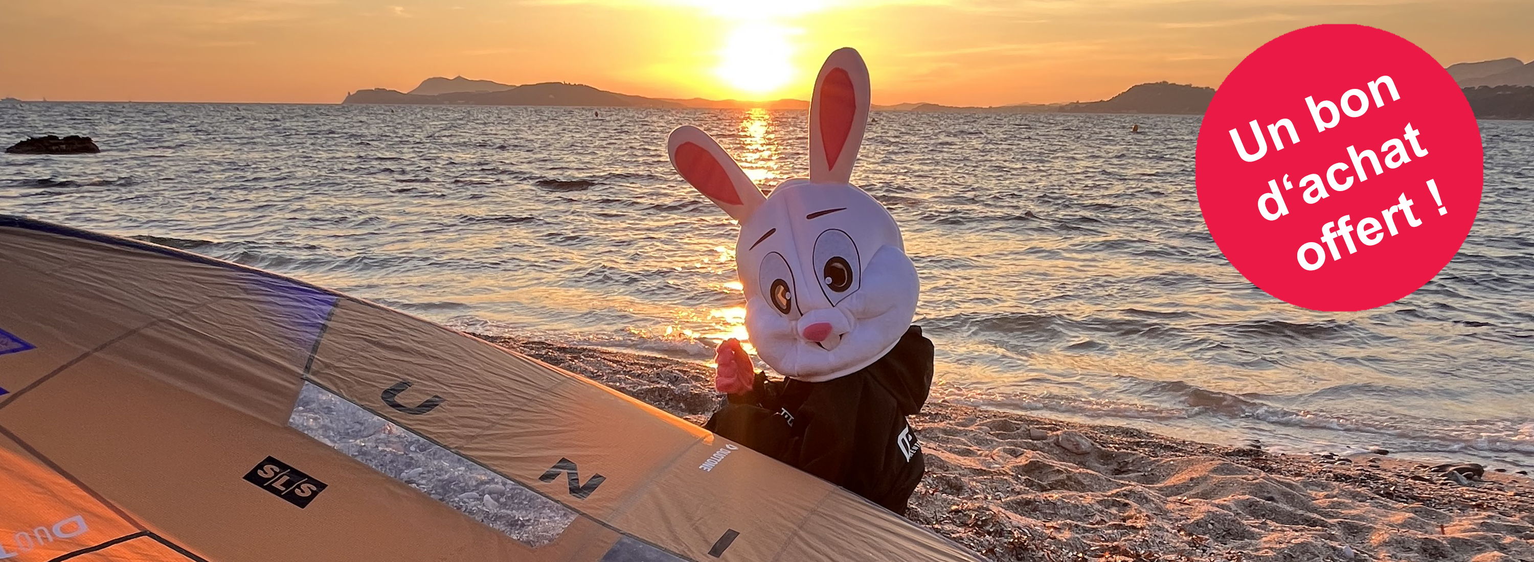 A person in a bunny costume near the ocean at sunset.