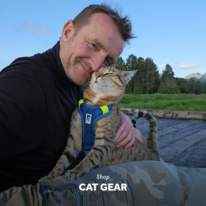 Man smiling with a cat in a scenic outdoor setting.
