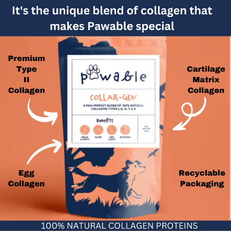 pawable collagen for dogs