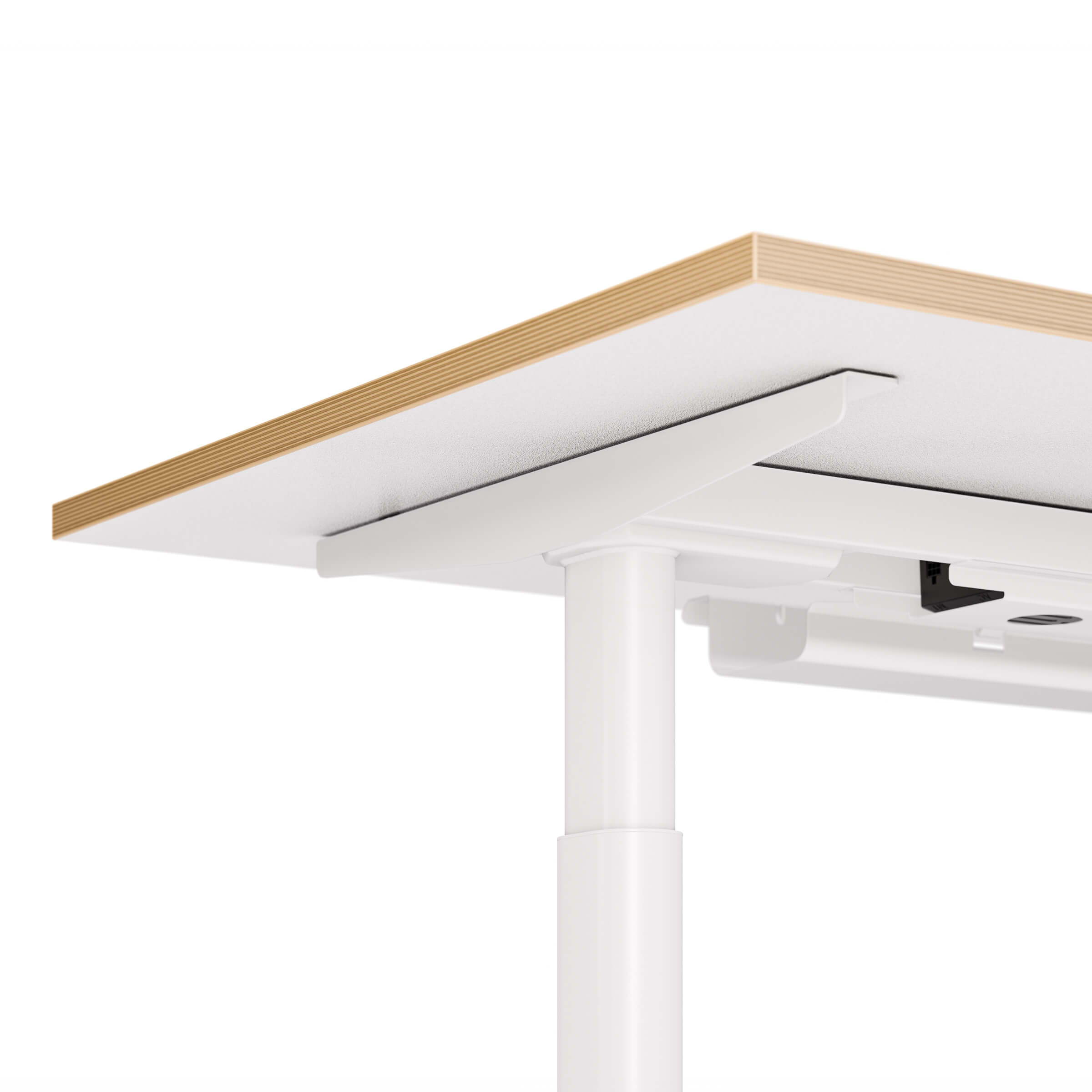Gros plan sur le plateau en bois blanc du bureau Rise d'ofinto