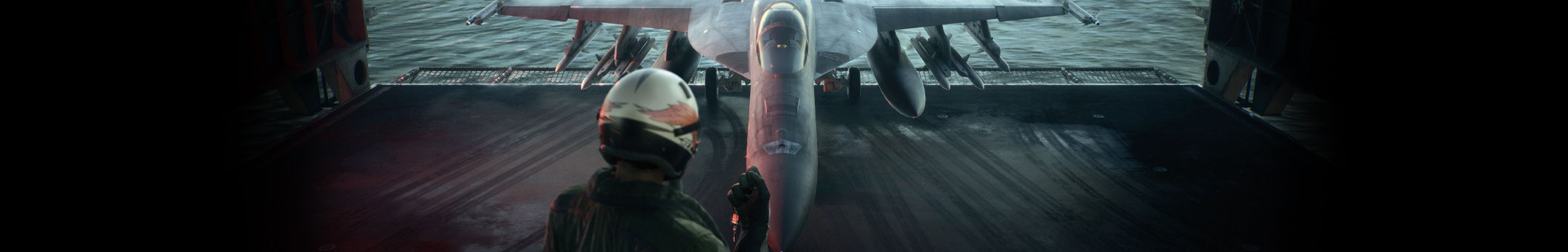 ACE COMBAT 8: WINGS OF THEVE | Video games, figurines, collector