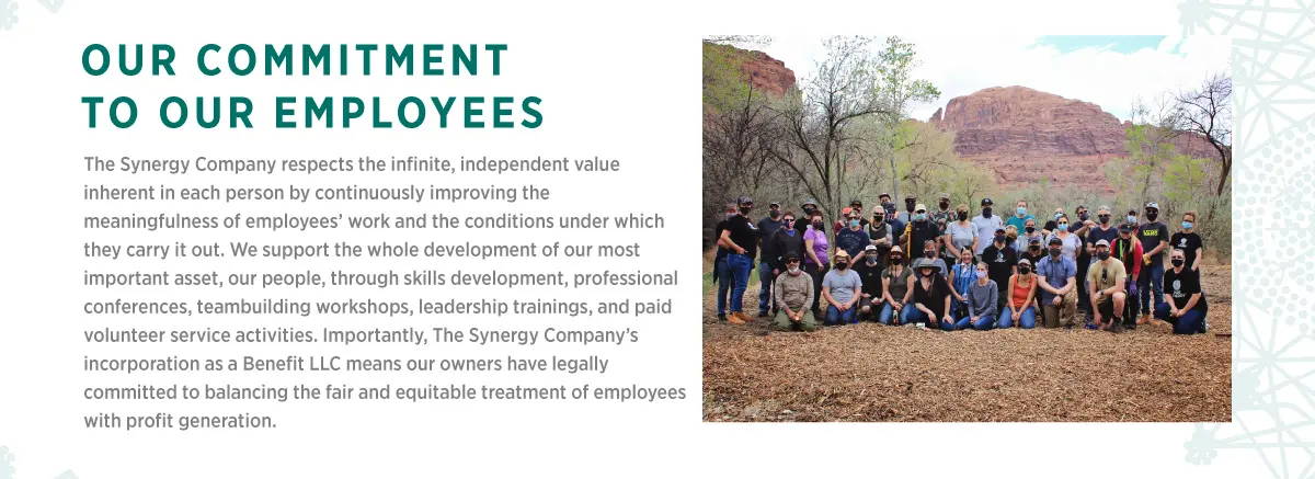 Our commitment to employees. The Synergy Company respects the infinite, independent value inherent in each person by continuously improving the meaningfulness of employees' work and the conditions under which they carry it out. We support the whole development of our most important asset, our people, through skills development, professional conferences, teambuilding workshops, leadership trainings, and paid volunteer service activities. Importantly, The Synergy Company's incorporation as a Benefit LLC means our owners have legally committed to balancing the fair and equitable treatment of employees with profit generation.