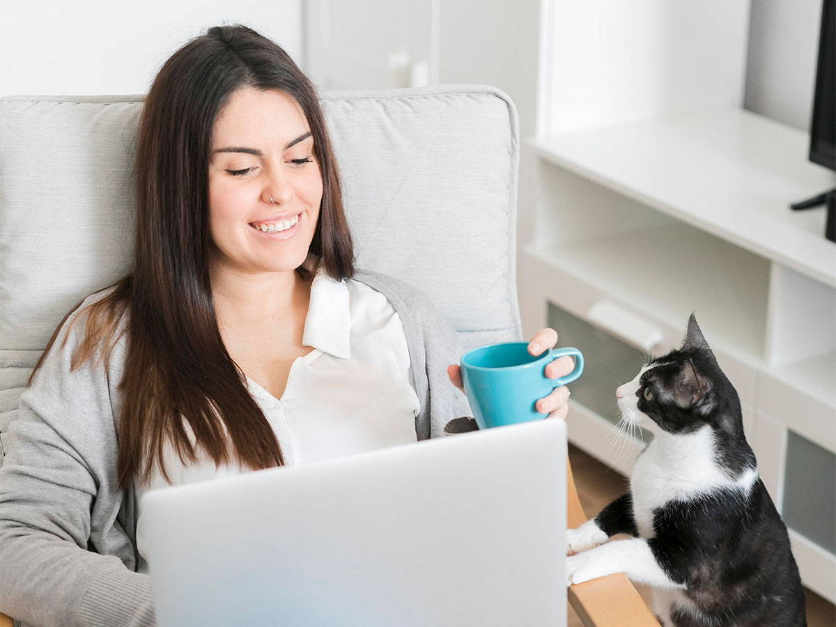 Katze beobachtet Frau am Laptop