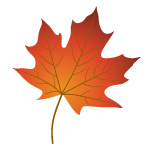 Fall Leaf