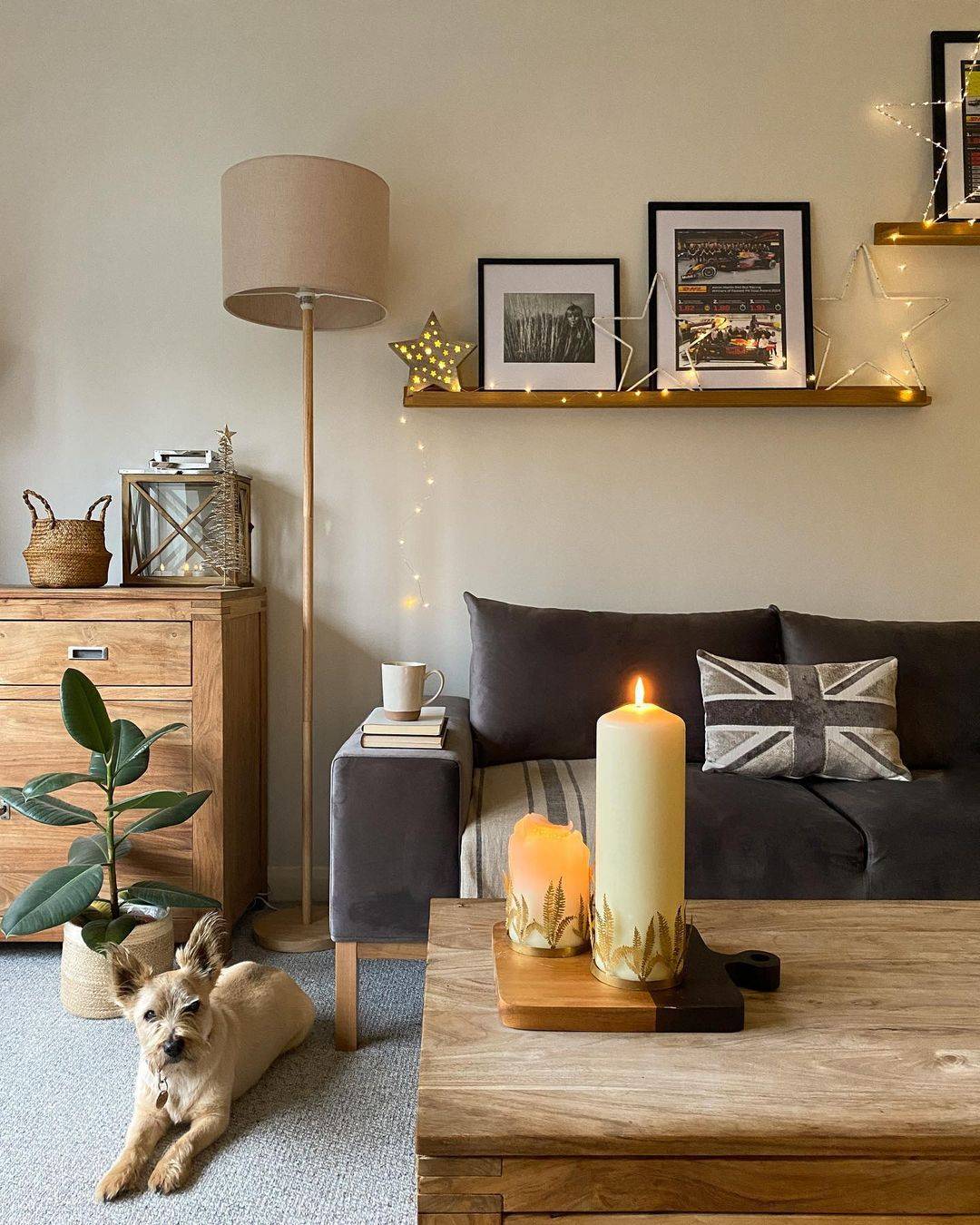 A living room with fairy lights and star lights on the shelves and a dog laying down.