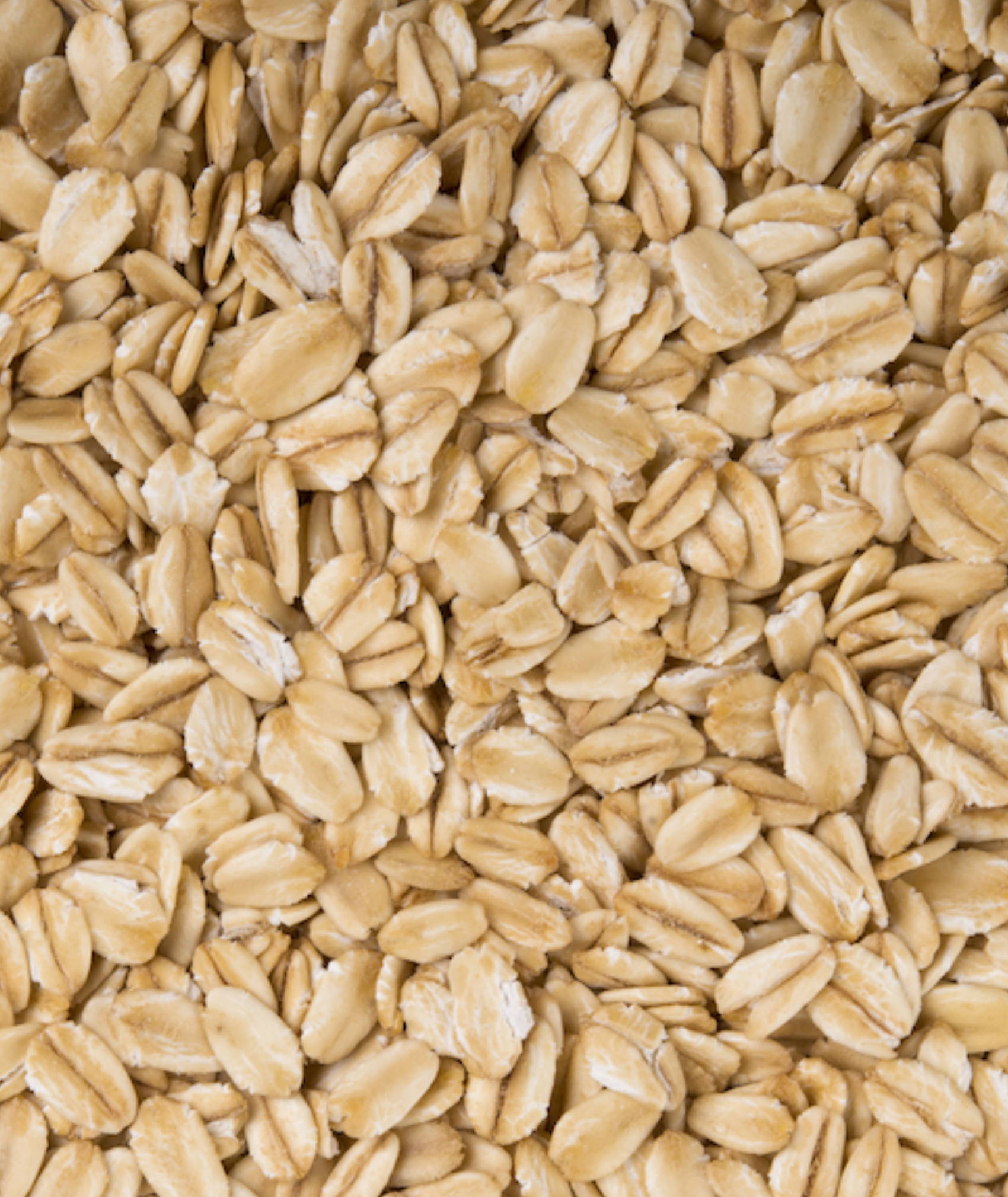 Oat Protein Peptides