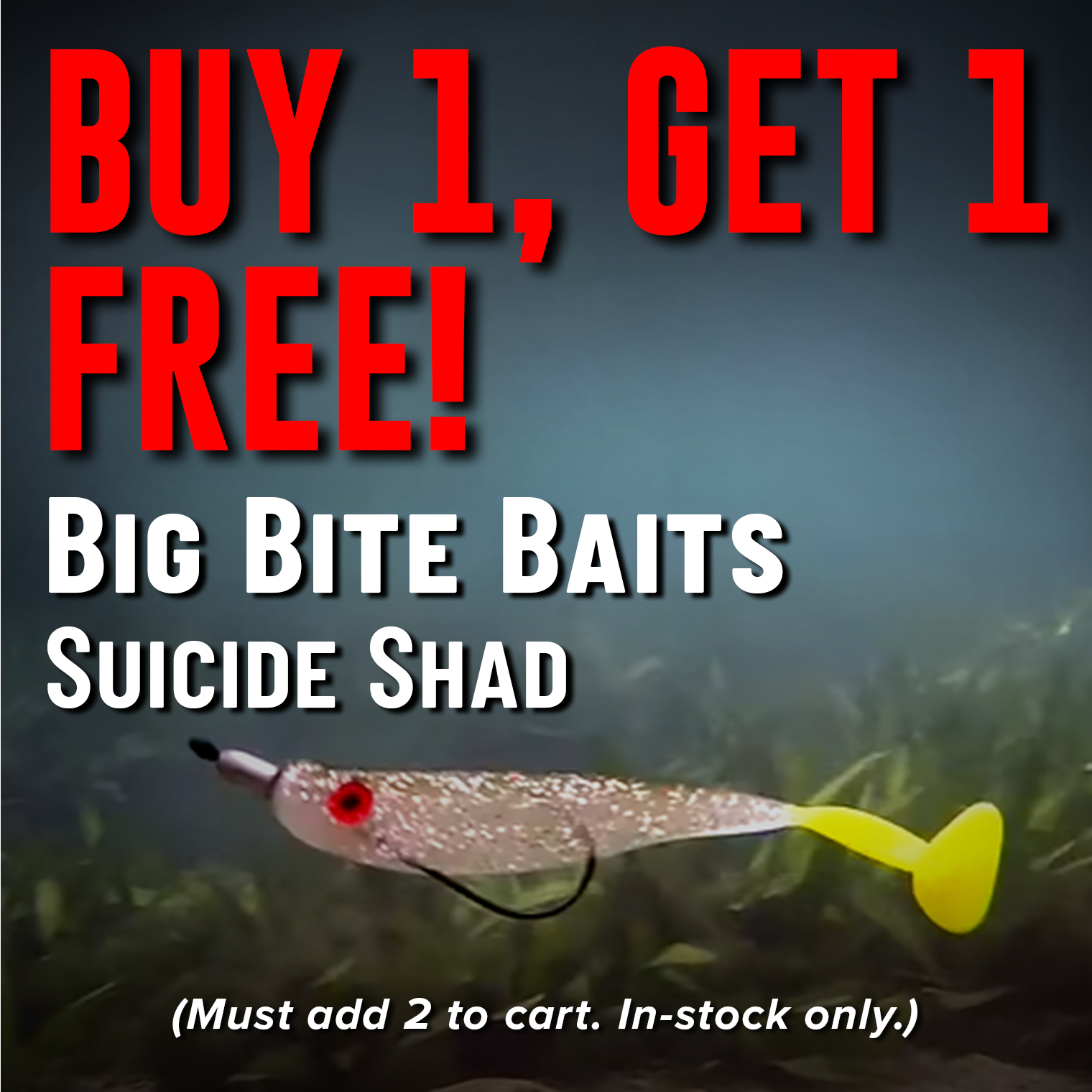 Buy 1, Get 1 Free! Big Bite Baits Suicide Shad (Must add 2 to cart. In-stock only.)