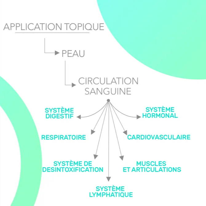 Aromathérapie - application topique