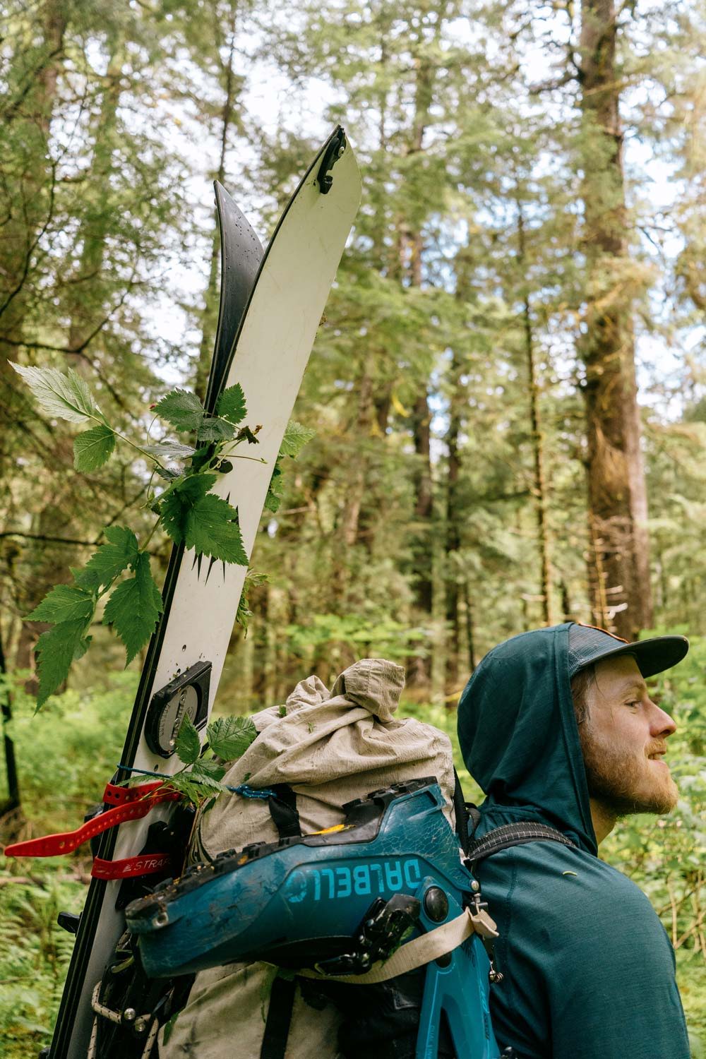 Person hiking in a forest, carrying skis and a backpack.