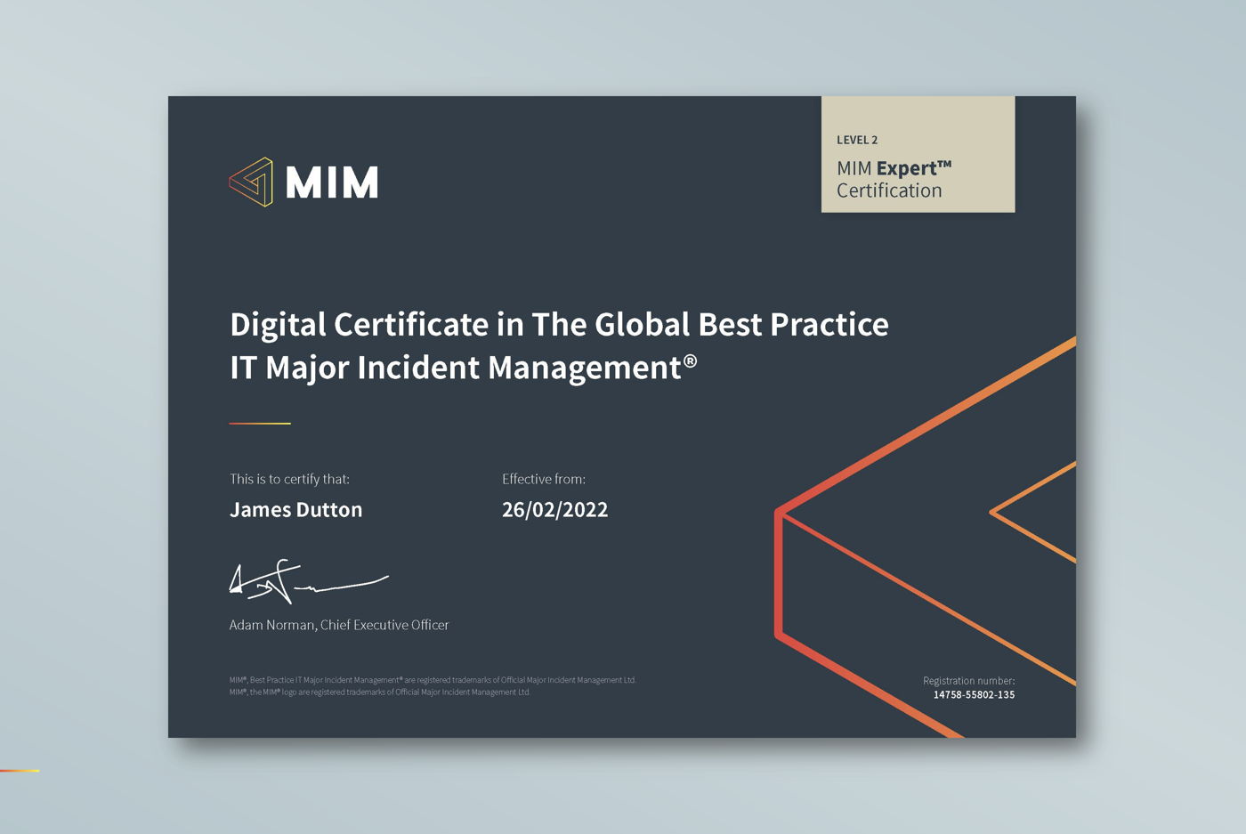 MIM Expert sample certificate