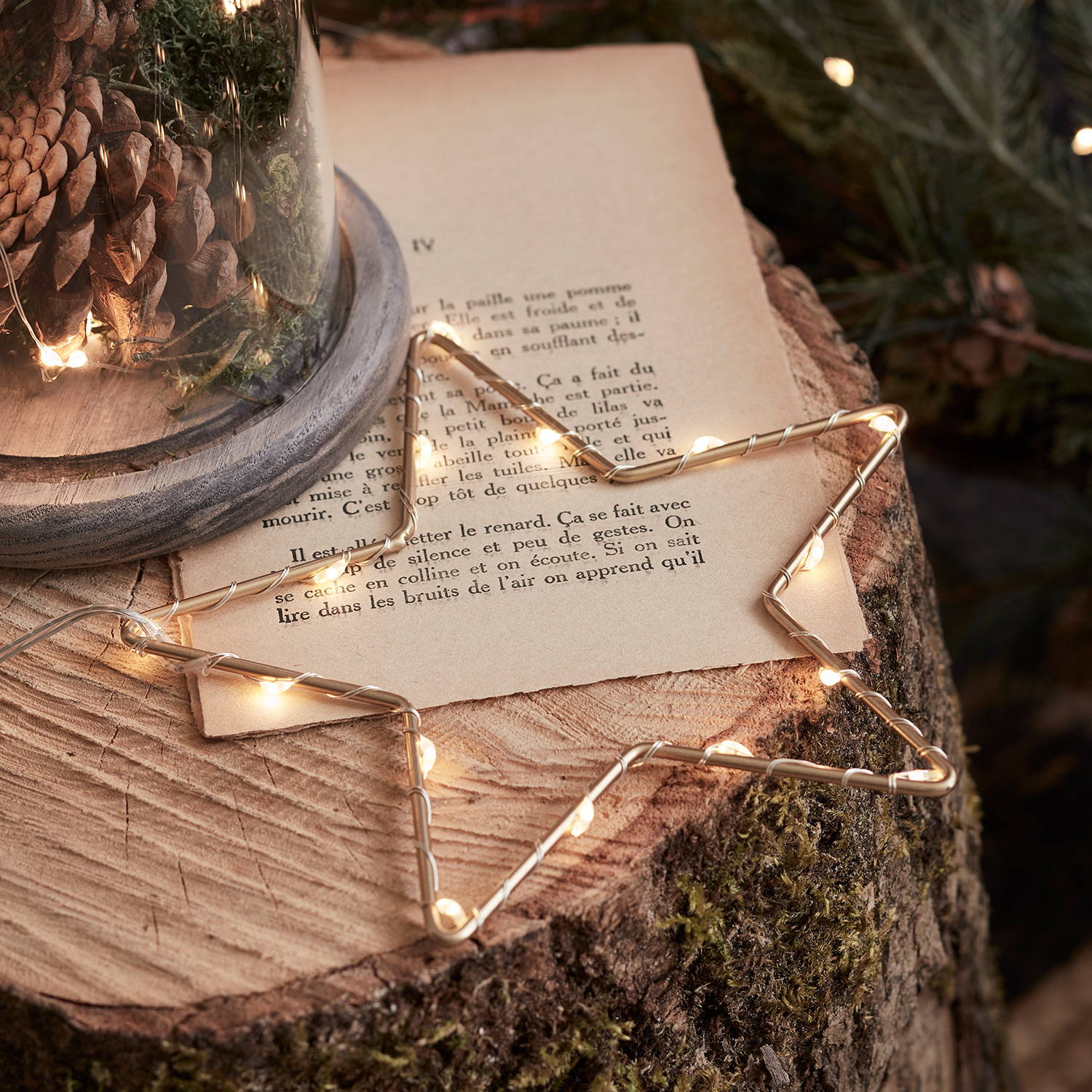 Gold Osby star light on a wooden table with a book page and Christmas foliage. 