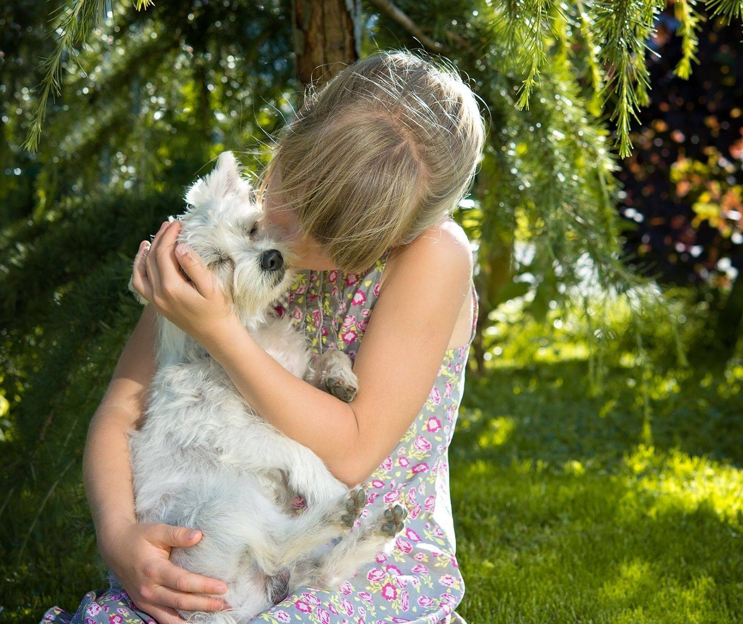 benefits of having a dog - help with childhood anxiety