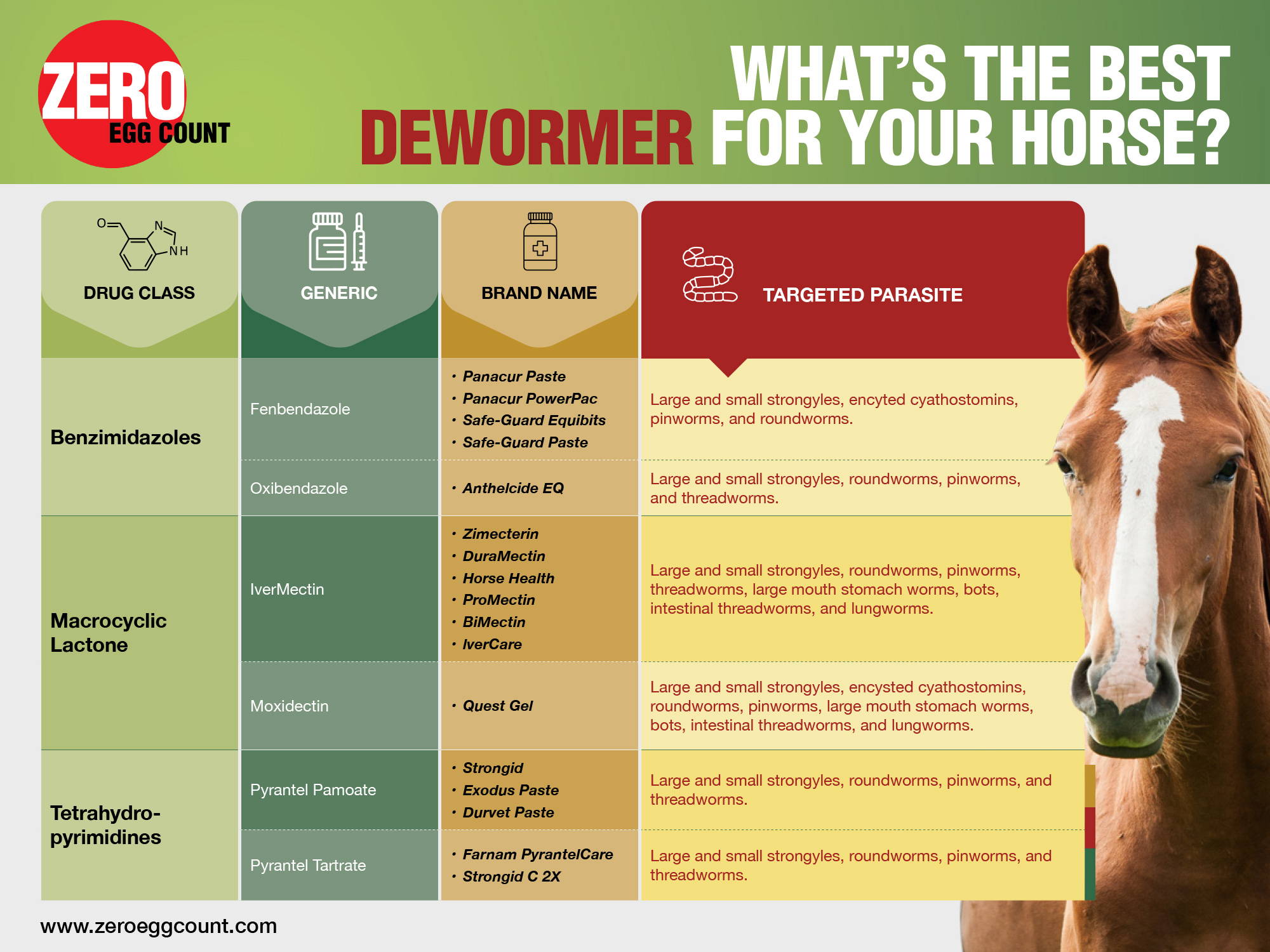 Table showing horse dewormers