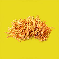 Organic Cordyceps