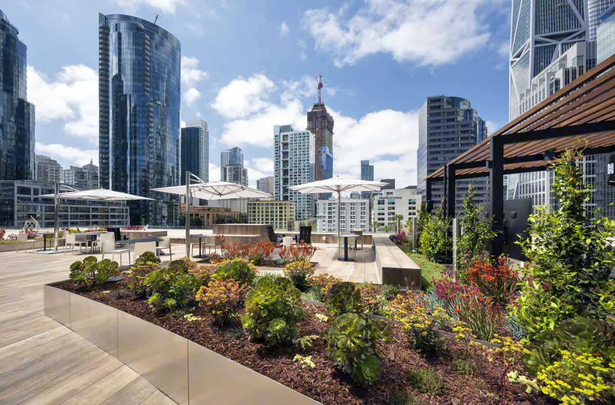 Rooftop garden with city skyline and modern buildings in the background.