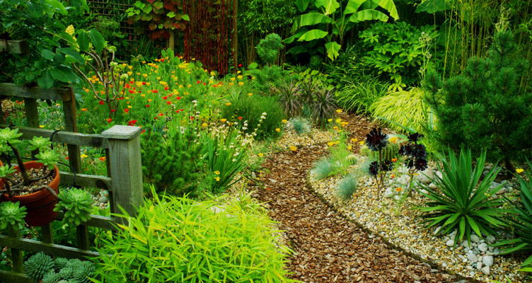 Une petite allée sinueuse jusqu’au fond du jardin lui donnera de la profondeur. Votre jardin paraîtra plus grand!