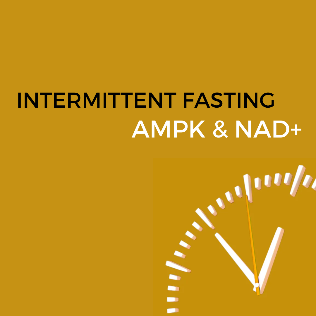 Intermittent fasting, AMPK and NAD+
