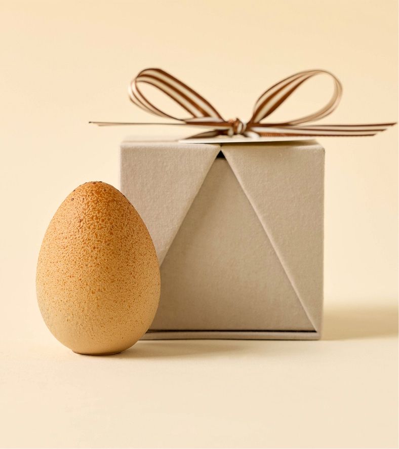 A brown egg next to a small gift box with a ribbon.