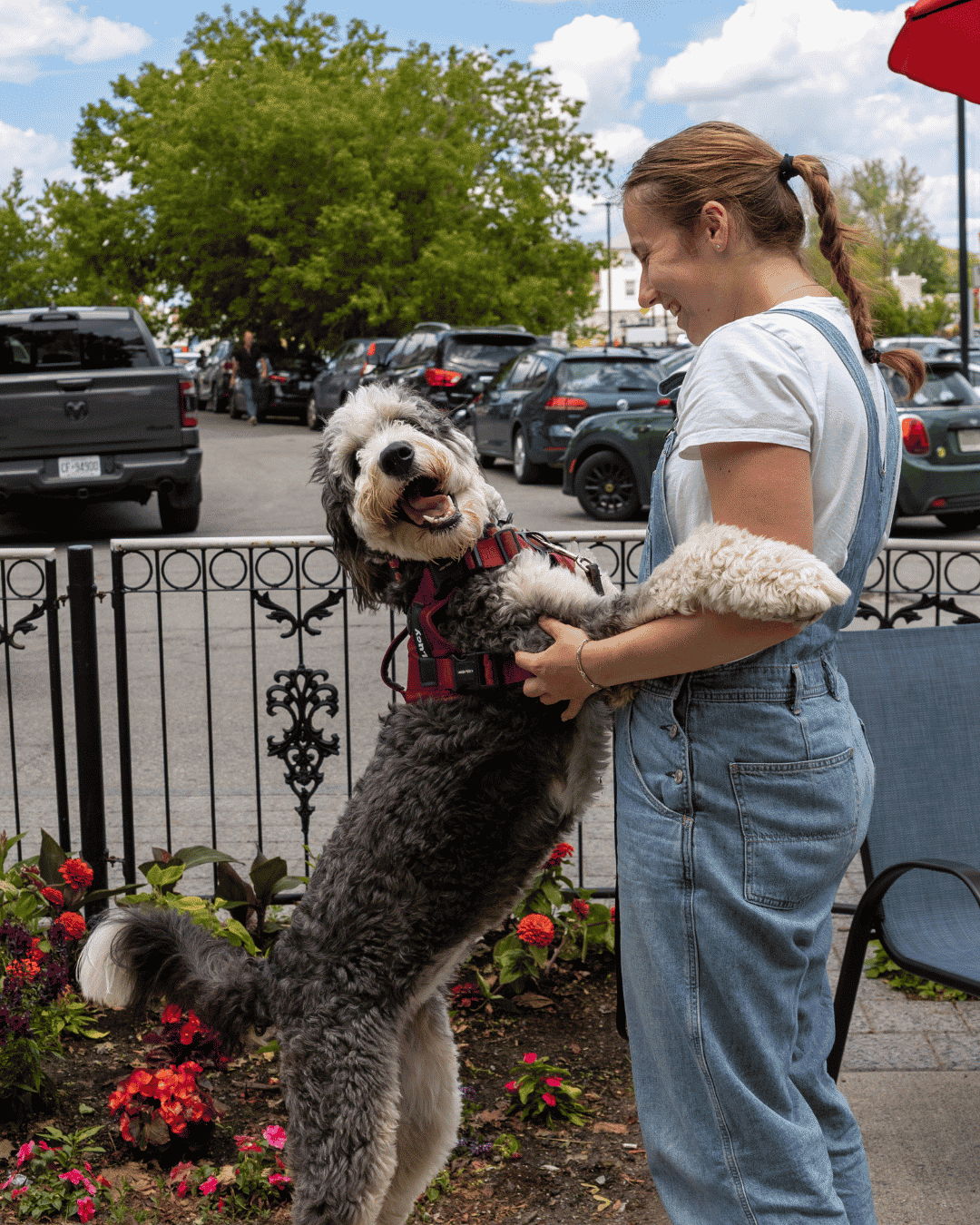 Person holding a happy dog in a flowered outdoor setting.